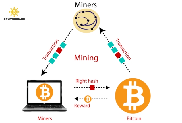 Đánh Giá Rủi Ro Khi Đào Coin Rác